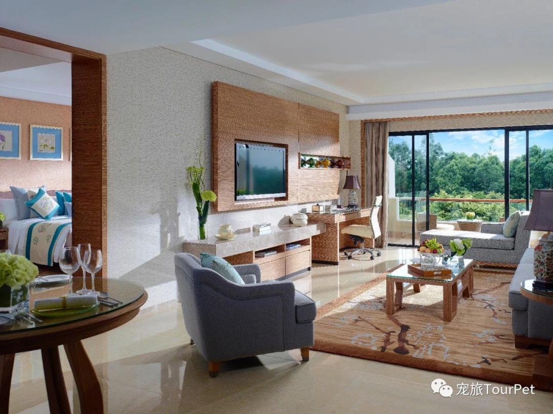 带着宠物去旅行的日常生活,想带着宠物一起旅游哪种好