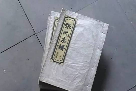 宜兴周铁古镇俯视图,宜兴周铁镇竺西花苑