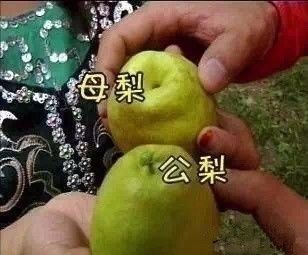 *疆新**也有很多“奇葩”的食物,有的看到反胃,有的念念不忘