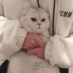 mac最新彩妆系列,Mac新品试色推荐