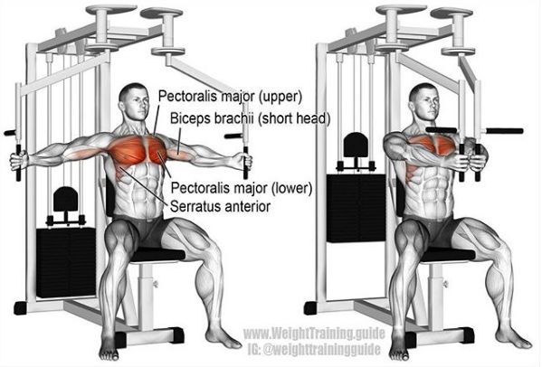 胸肩背臂腿腹训练动作,腰臀肌肉训练方法