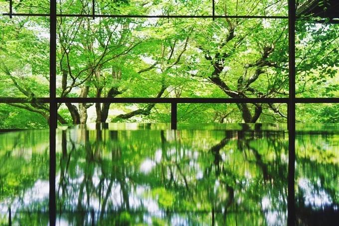 不一样的大阪三日游，瑠璃一束光，值得一来再来