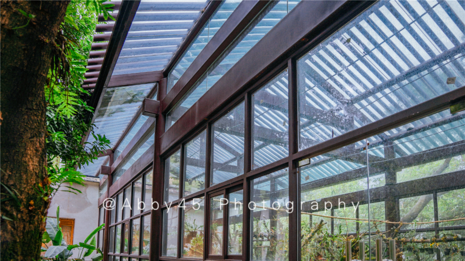 国内十大兰圃之一在福州，莫负好*光春**，免费尽享兰花的春之盛宴