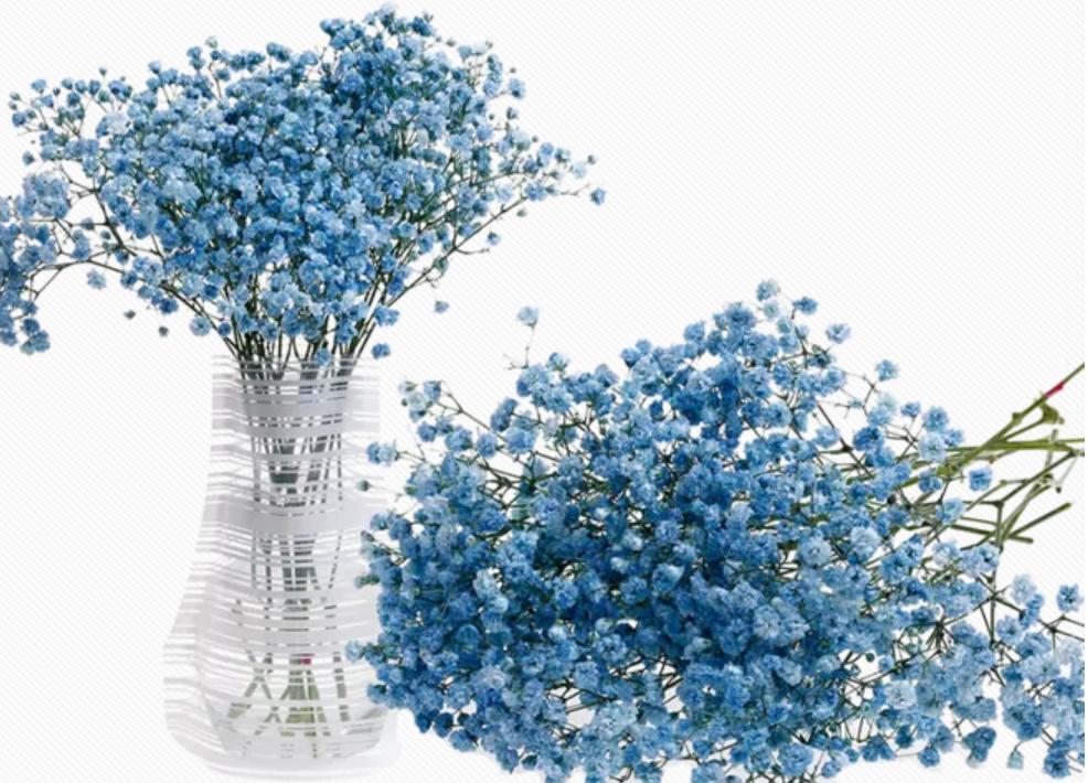 鲜花制作干花方法教程,鲜花制作干花的方法