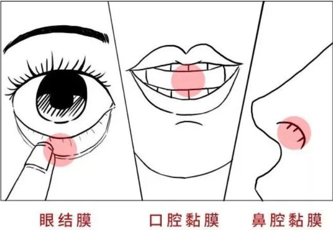 放那儿就能杀菌99%的神仙好物，清华大学研究院最新研制