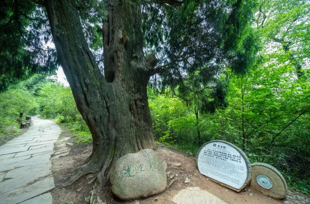 秦始皇张飞,秦始皇冬游