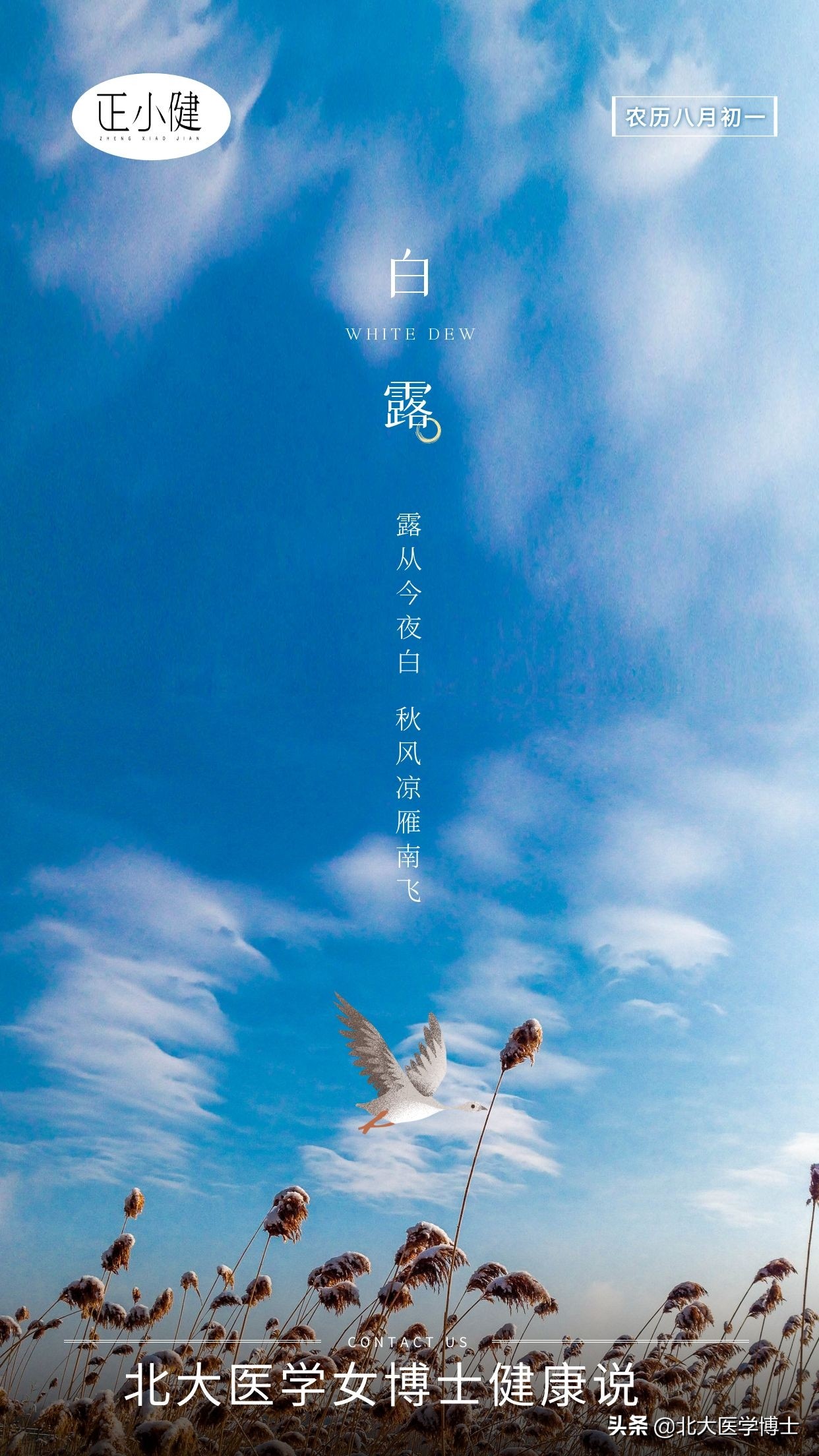 从妈妈身体遗传下来的乙肝,遗传性痛风是不是尿酸控制不住的