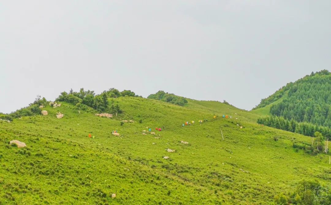 徒步穿越北驼梁完整版,穿越花海古道游记