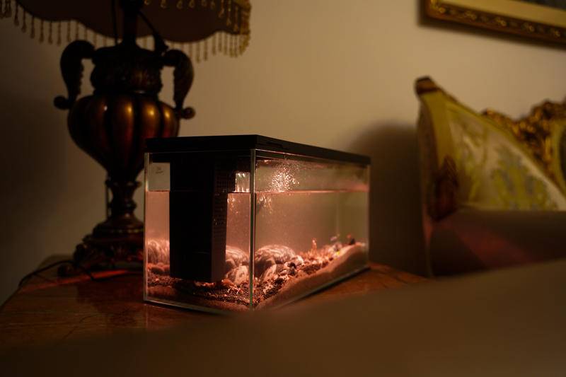 小佩起源纪鱼缸过滤怎么样,小佩起源纪鱼缸