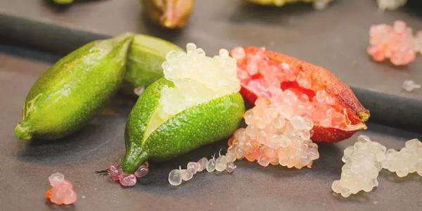 世界这么大你知道有几种水果吗,世界上都有哪些可以吃的水果