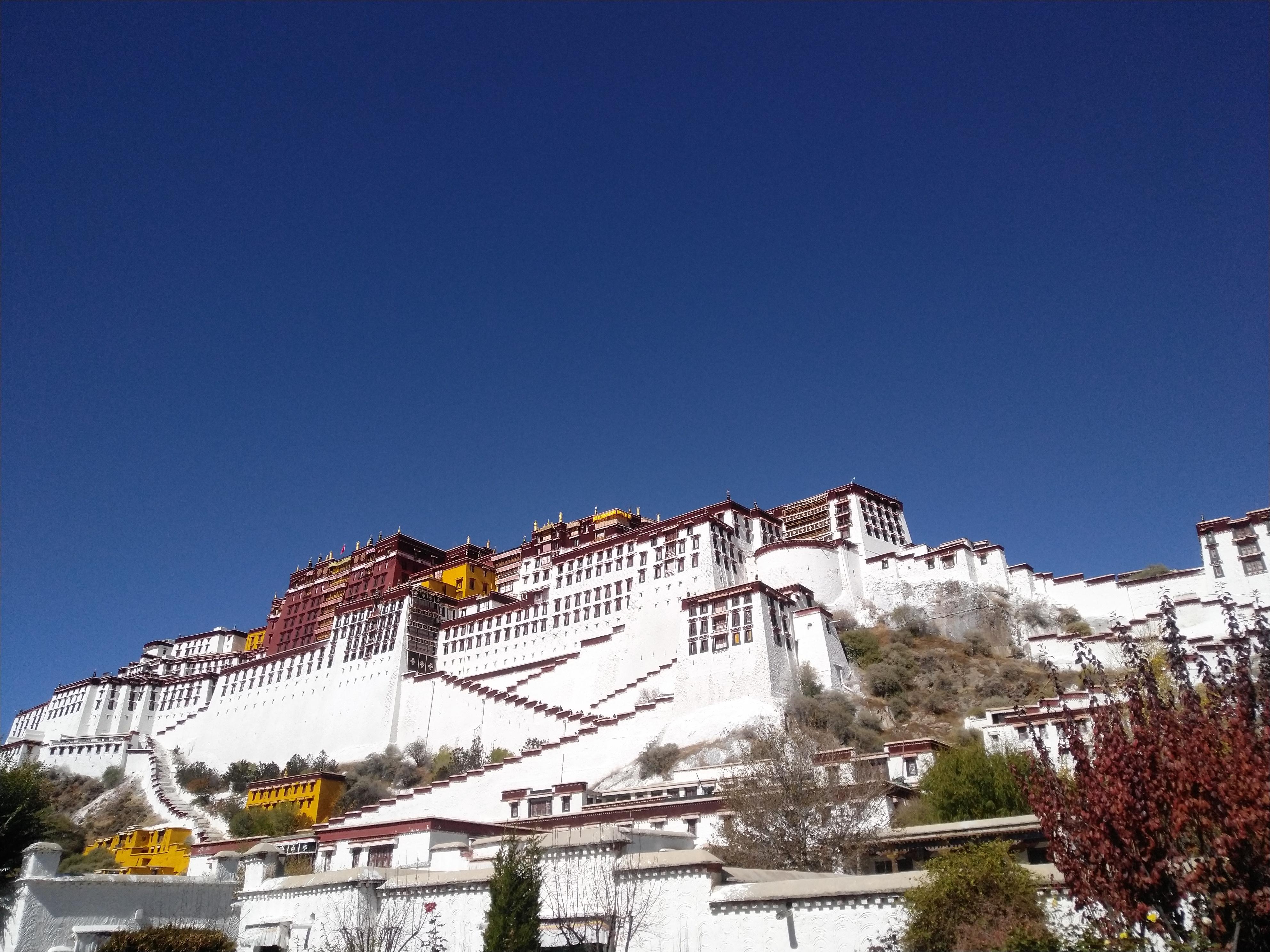 混迹*藏西**数日，最终落荒而逃，只因路上一景让我等俗人无地自容