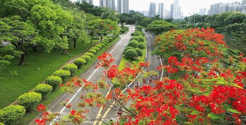 开学复课进行时,开学季告别暑假回归校园