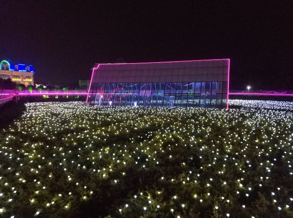 森林花海亲子游攻略,森林公园亲子游推荐