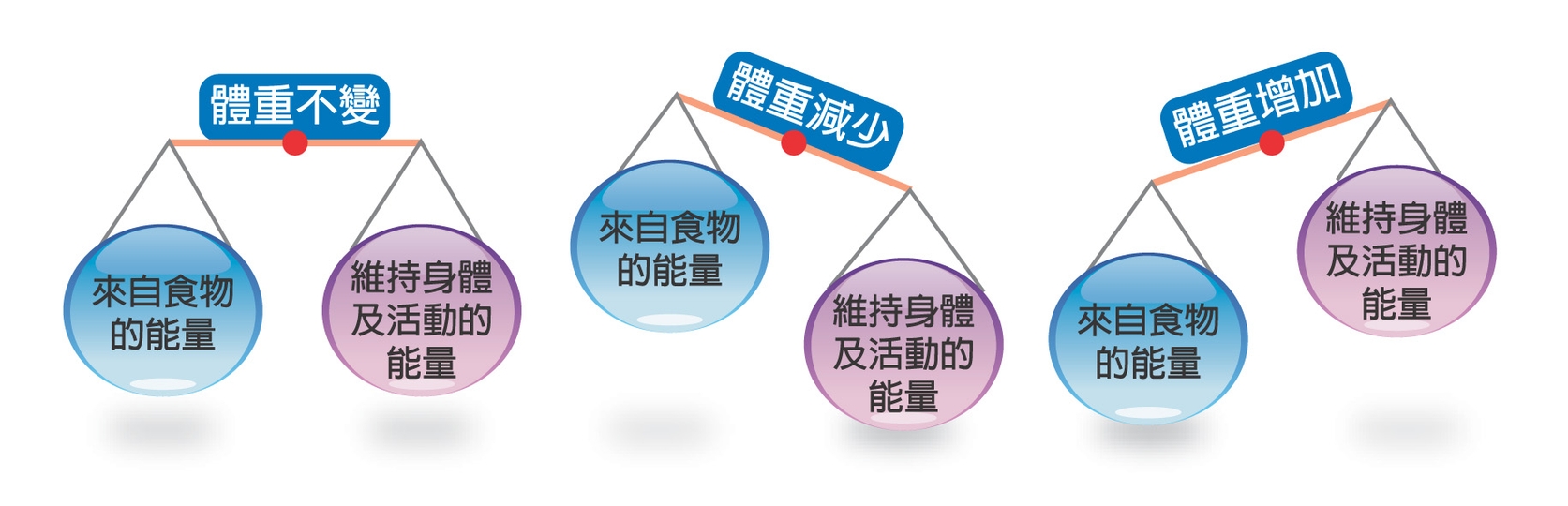 营养师陈帅瘦人增肥指导,营养师解答增重增肥