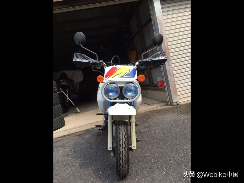 本田猴子水货,本田猴子国内仿品