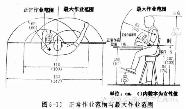 运动动作分析软件,体育动作分析软件