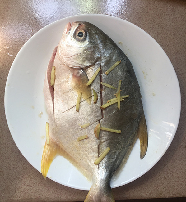 清炖鱼什么鱼炖的好吃,家常鱼炖法和什么炖最好吃