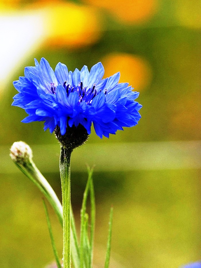 阳光乐观正能量的说说,励志语录经典感悟人生说说