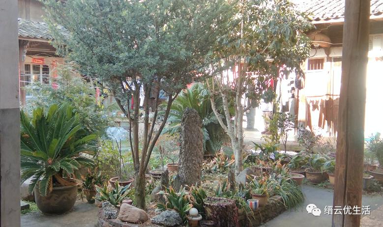 阜阳太和老街的故事,壶镇老街上的故事