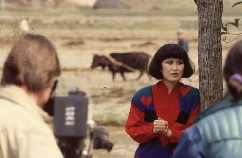 靳羽西的传奇一生,靳羽西的一生简历