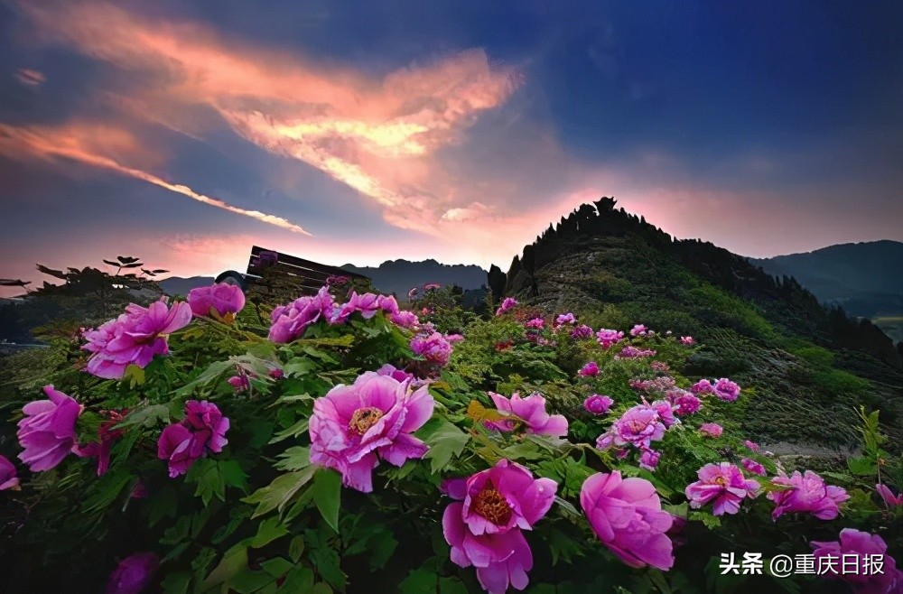 1月重庆乡村旅游景点攻略,重庆主城周边乡村游推荐