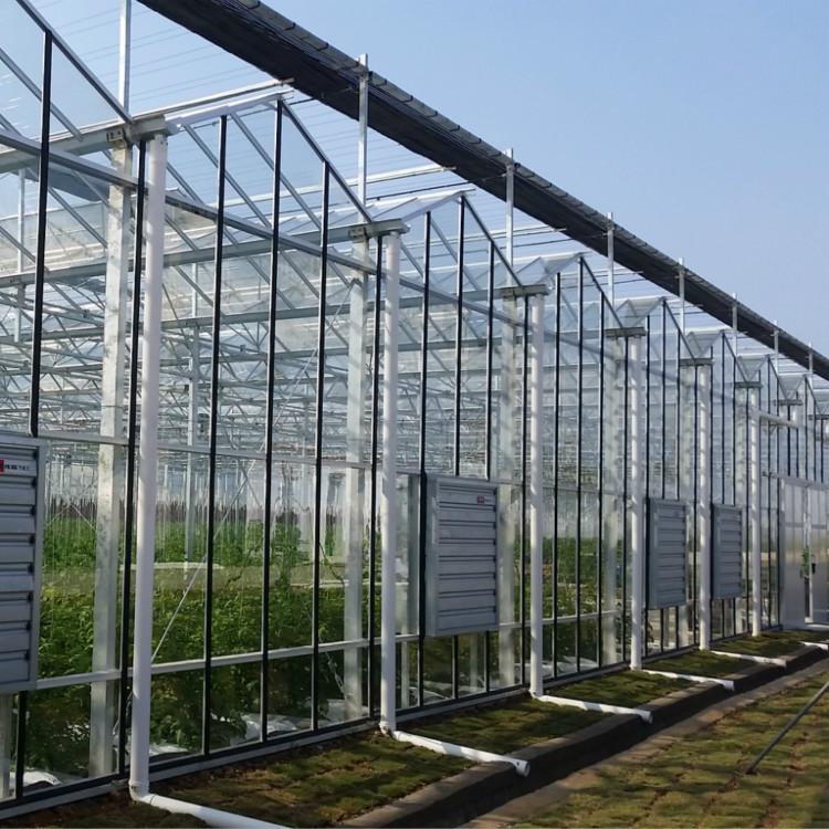 广西钢架大棚造价多少钱一平,三门峡养殖大棚钢架一亩价格