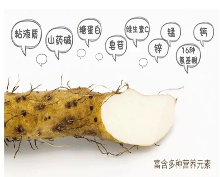 山东怀山药片药用价值,不是怀山药有药用价值吗