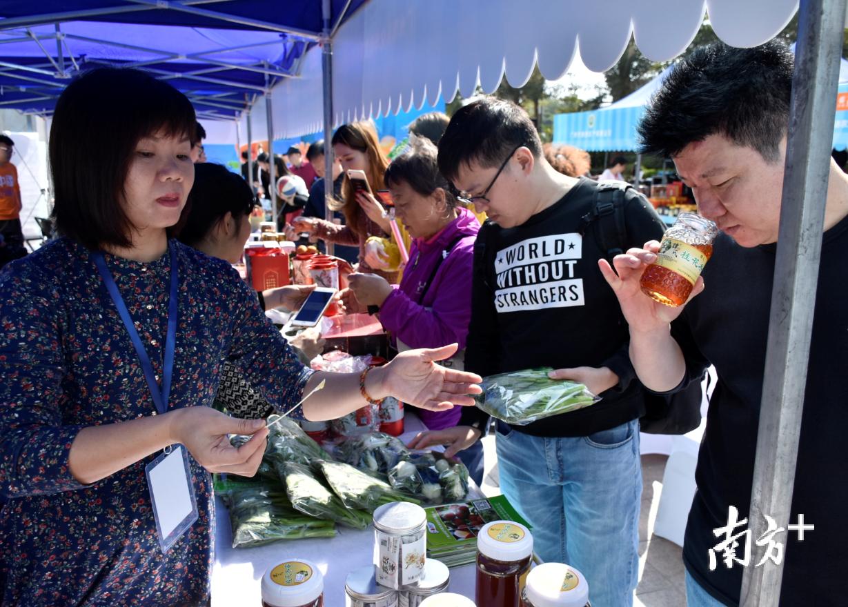 广州从化名优农产品,广州从化好吃的荔枝