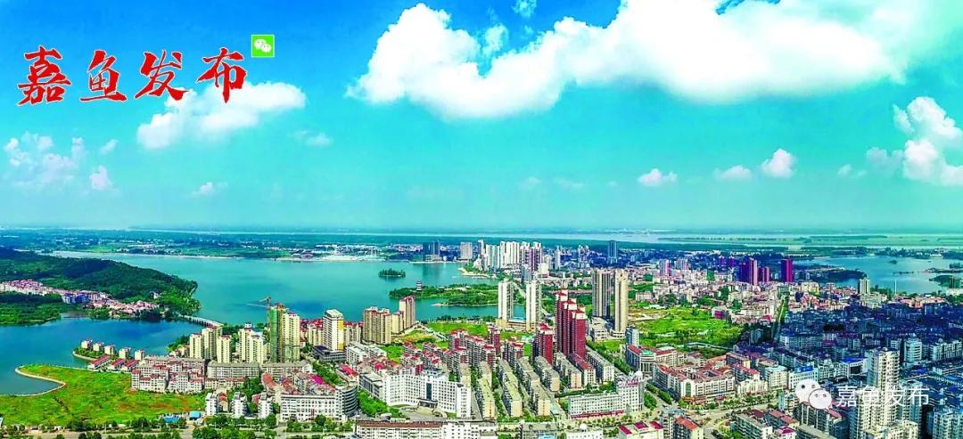 嘉鱼未来十年发展变化,嘉鱼是做什么行业的