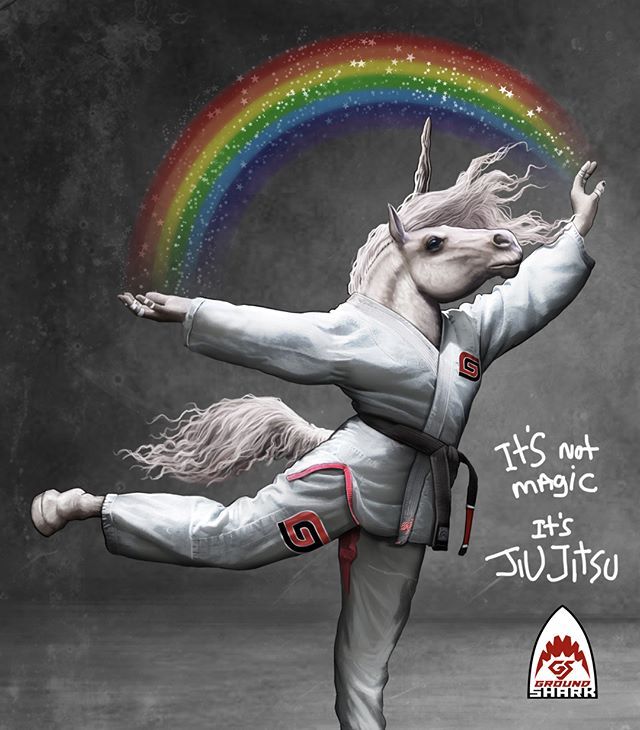 会巴西柔术的动物有多酷?让GroundShark(陆地鲨)告诉你