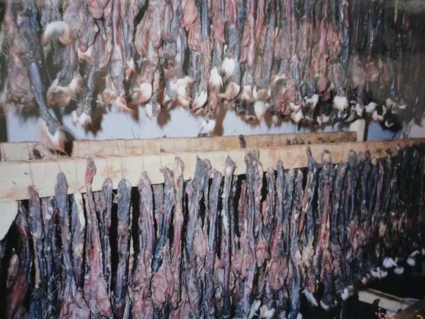 伊春市林区今昔对比,伊春六七十年代林区林场