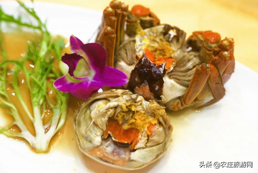 逛水城、登大涪山、吃湖鲜...长荡湖邂逅属于你的秋