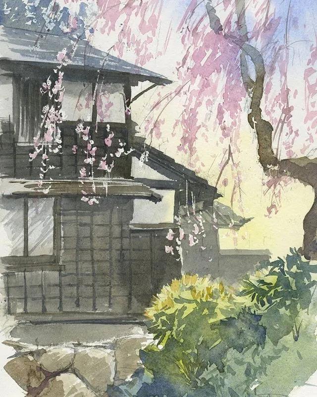 美丽的水彩樱花,水彩樱花风景画乡村田园