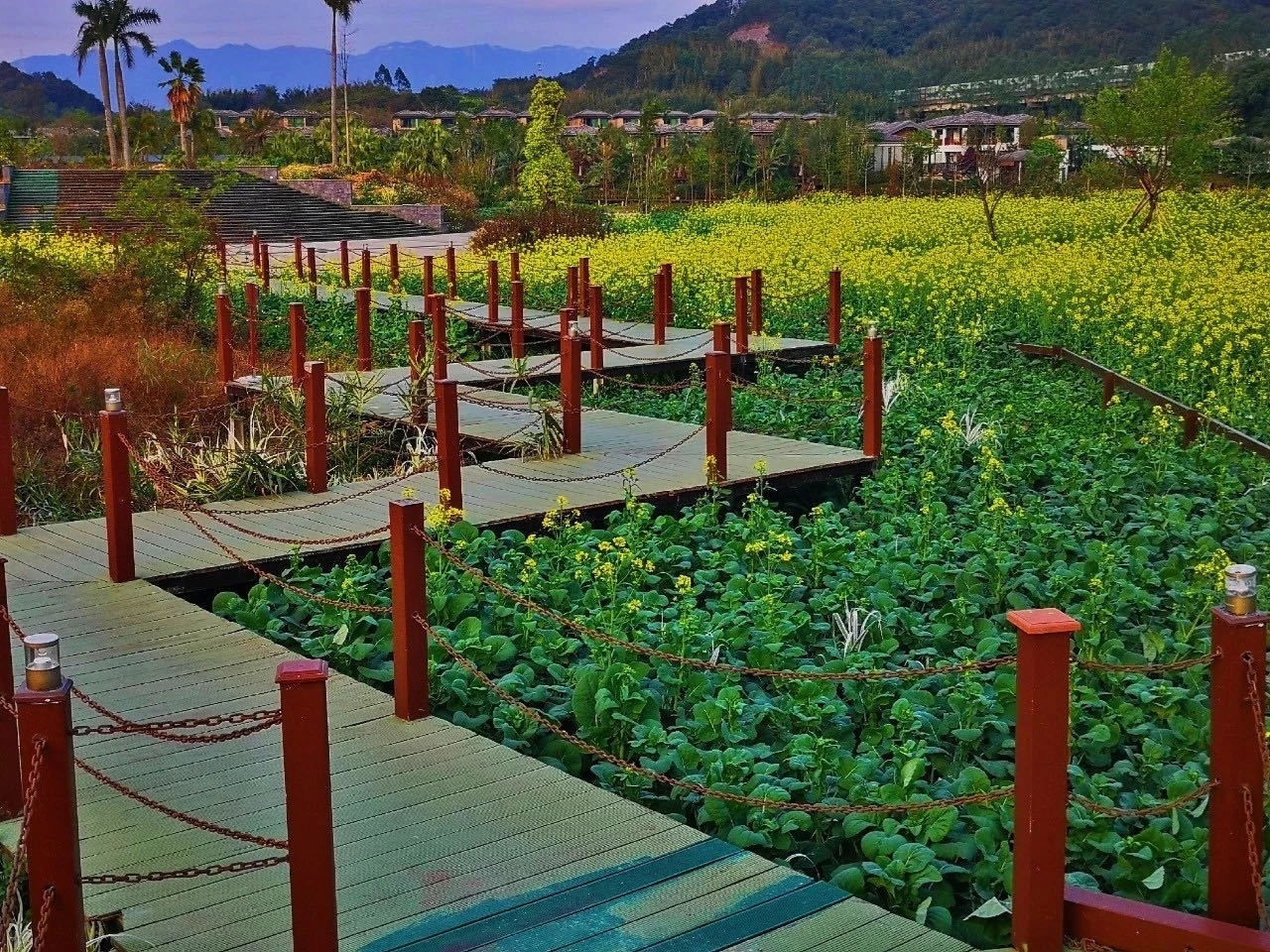 清远温泉度假村排名推荐,清远新银盏温泉度假村门票多少钱