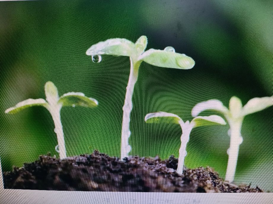 传统农耕文化体现的智慧有哪些,农耕文化的精髓和思路