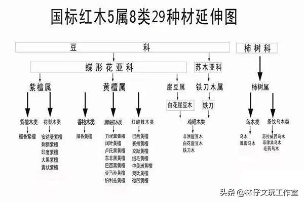 印度小叶紫檀树苗鉴别方法,怎样鉴别印度小叶紫檀二胡好坏