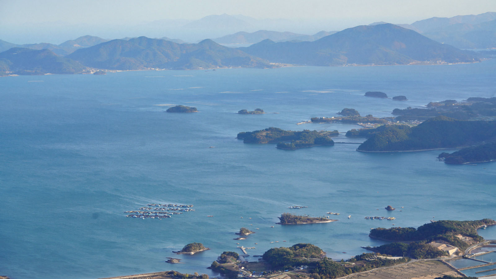 哇,人参随便挖!韩国还能这么玩