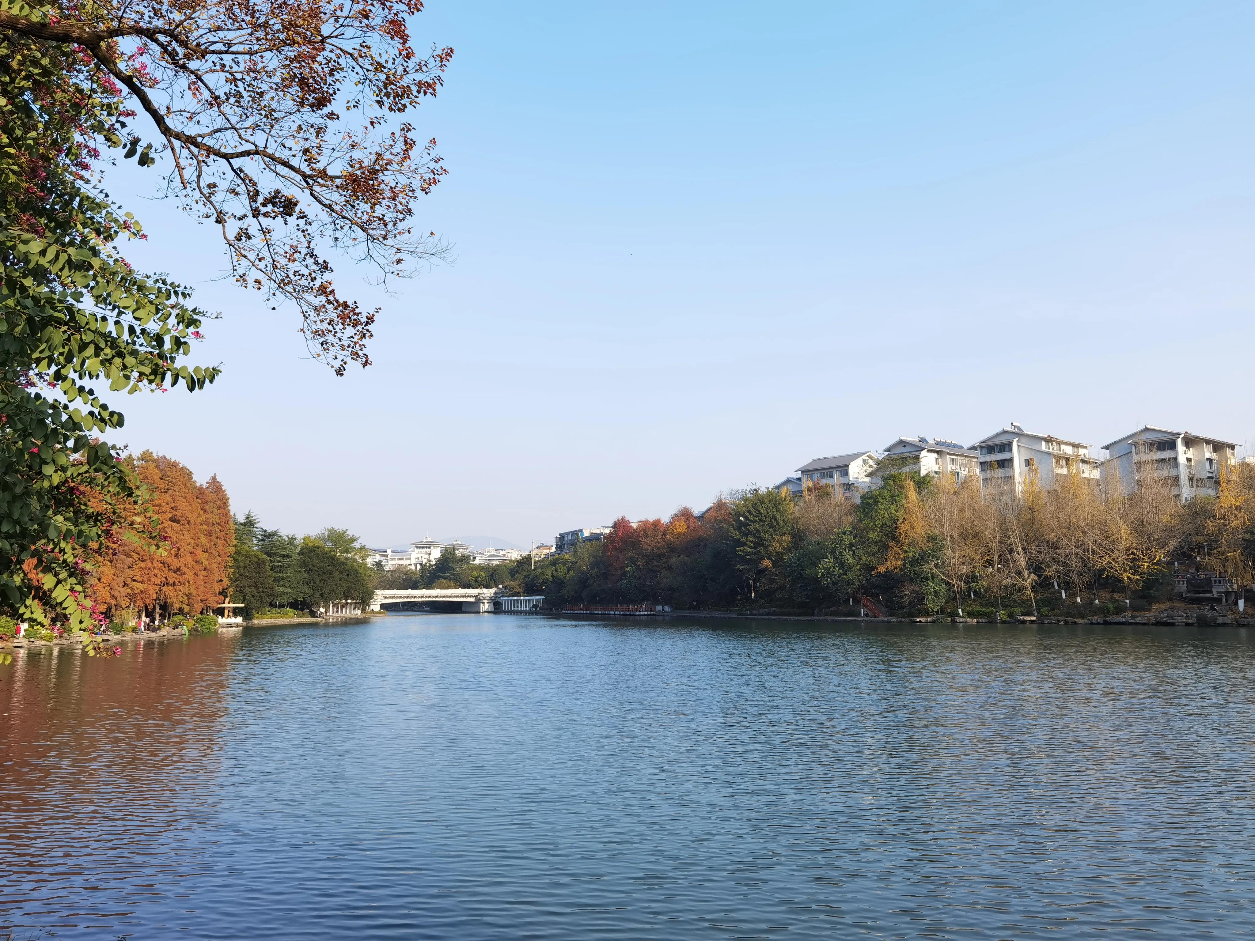 桂林：冬季到桂湖来看景