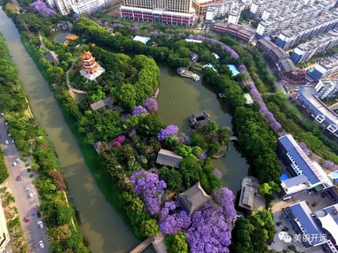 开远凤凰生态公园,开远市凤凰生态公园面积多少