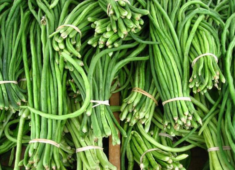 豇豆到底是白豇豆还是青豇豆,红豇豆与白豇豆的区别