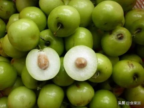 红枣与青枣,红枣黑枣乌枣紫晶枣各有什么区别