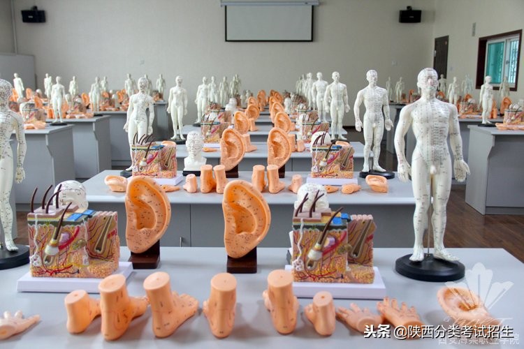 西安海棠职业学院学费,西安海棠职业学院报名