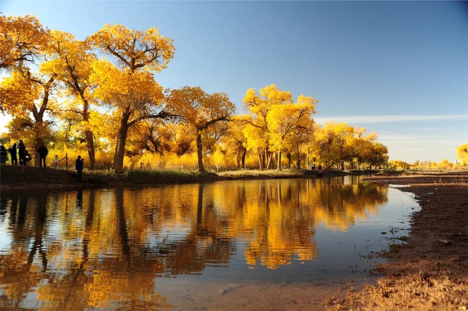 额济纳旗住宿一般多少钱,国庆额济纳旗胡杨林攻略