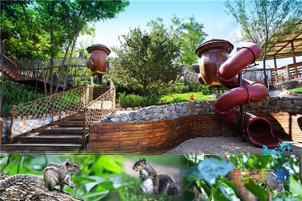 周末游玩避暑尽在密云清凉谷,北京密云冬天游玩攻略