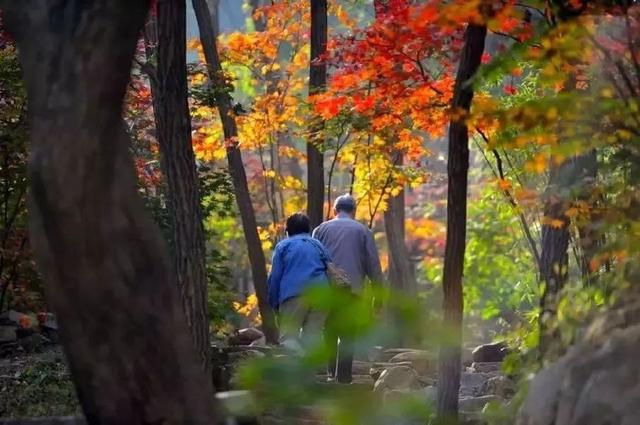 济南旅游景点推荐带孩子玩,济南旅游景点推荐适合带孩子
