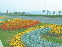 一篇文章读懂拓扑排序,一篇文章读懂摄影