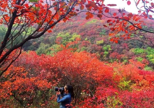 济南旅游景点推荐带孩子玩,济南旅游景点推荐适合带孩子