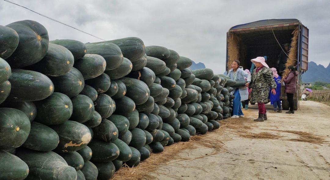 国网辽宁电力扶贫带货,电力扶贫带货记