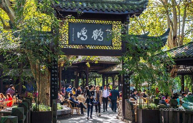 成都网红旅行攻略,四川成都新津最新网红打卡景点