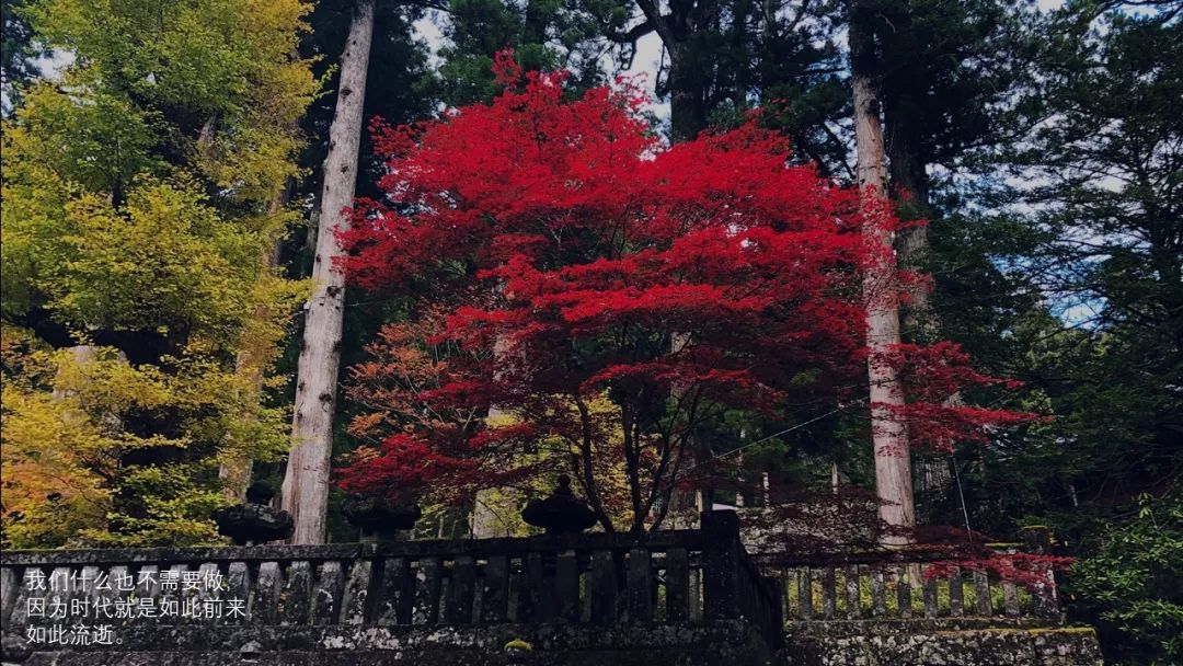 来玩个需要才华的好吧|冷段子1352去年今日995